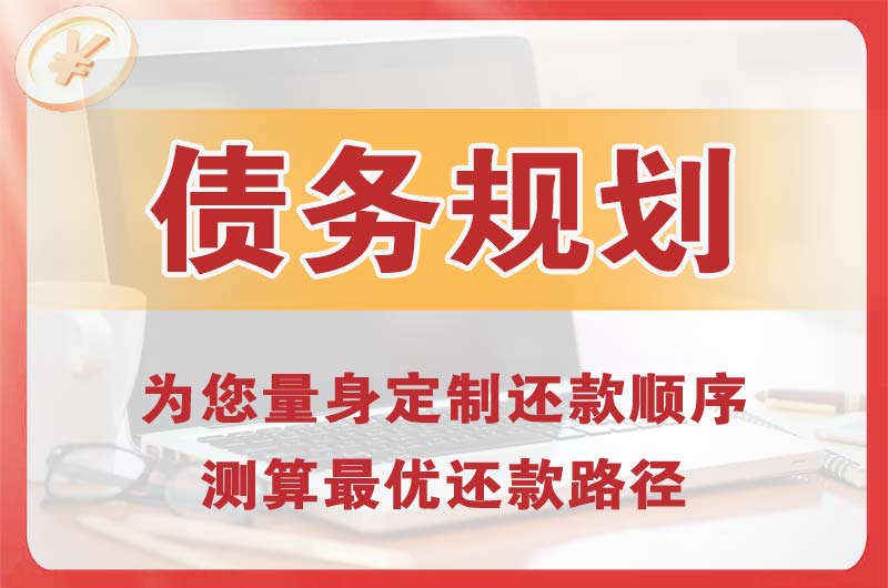 化州债务规划